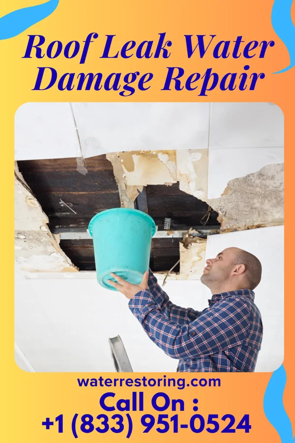 Roof Leak Water Damage Repair in Brainerd, MN