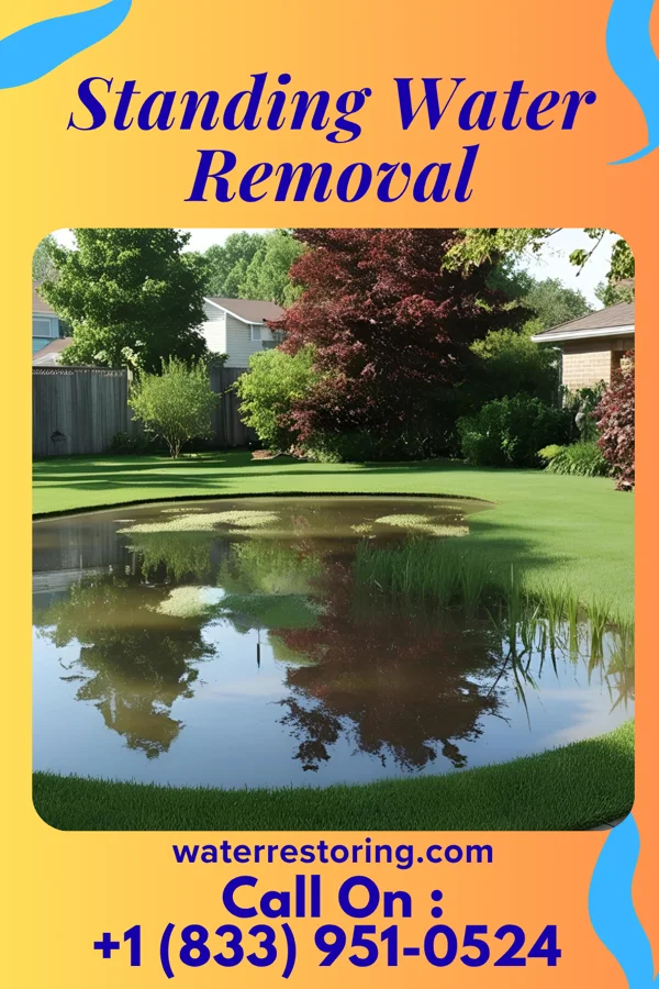 Standing Water Removal in Brainerd, MN